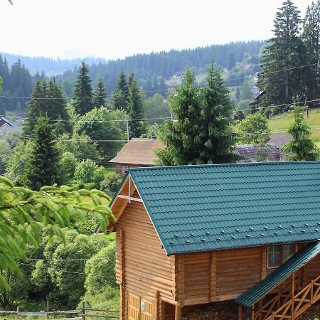 "Лісова Ягода" Jablunyzja Exterior foto