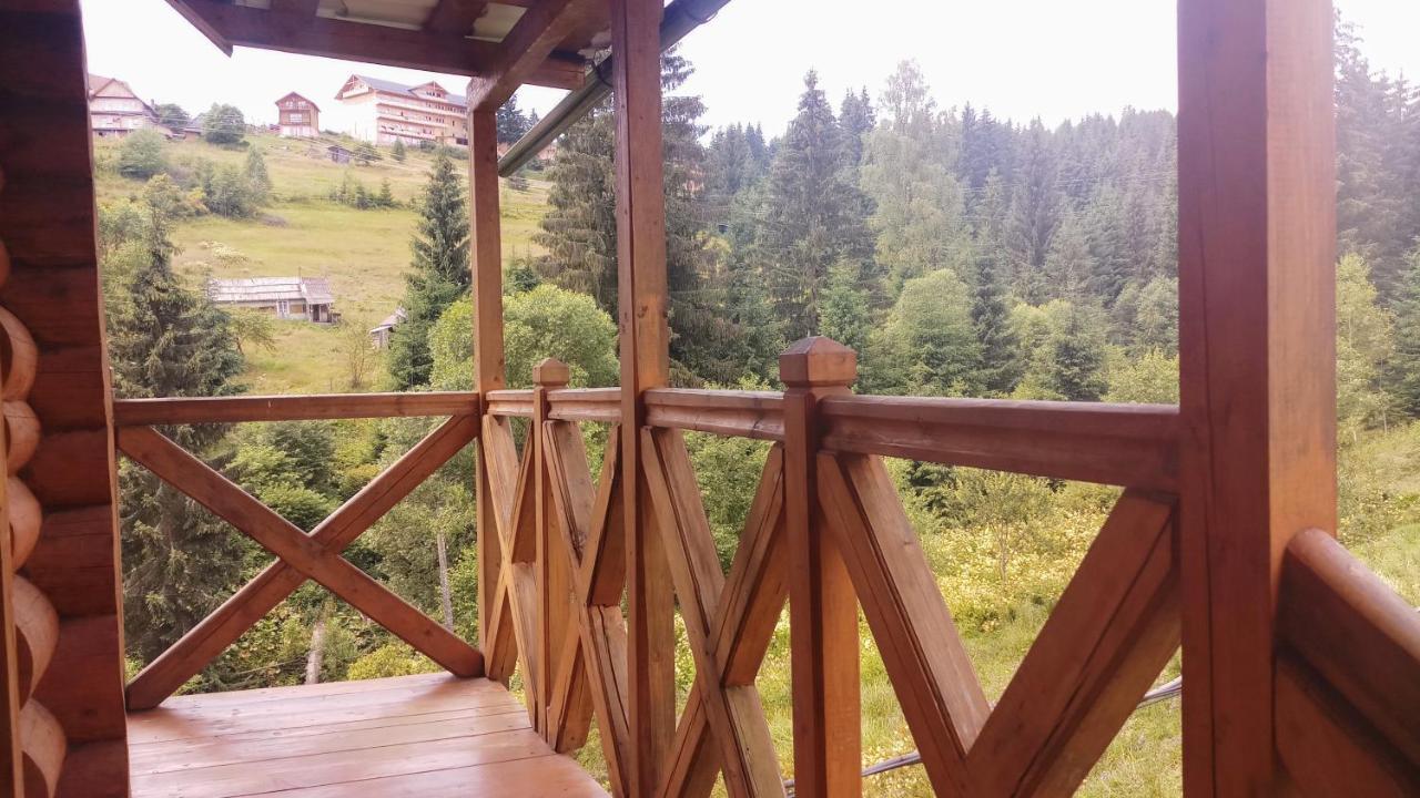"Лісова Ягода" Jablunyzja Exterior foto