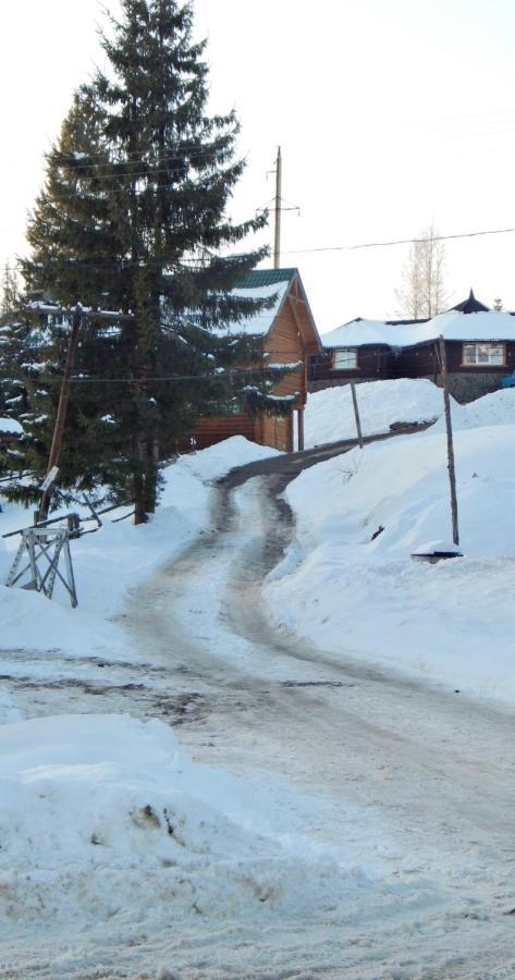 "Лісова Ягода" Jablunyzja Exterior foto