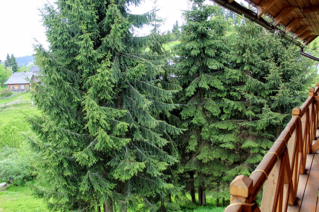 "Лісова Ягода" Jablunyzja Exterior foto