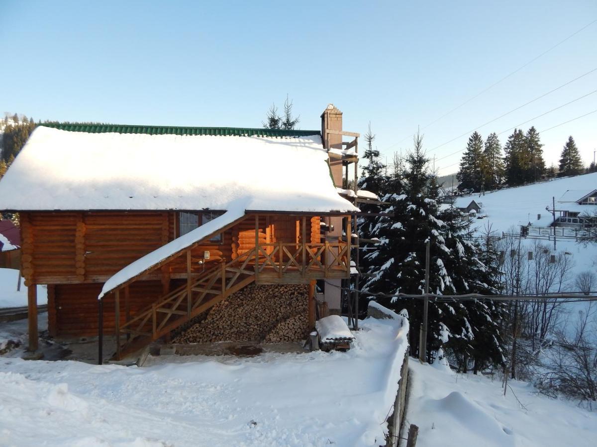 "Лісова Ягода" Jablunyzja Exterior foto